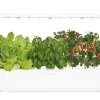 CLICK&GROW SMART GARDEN 9