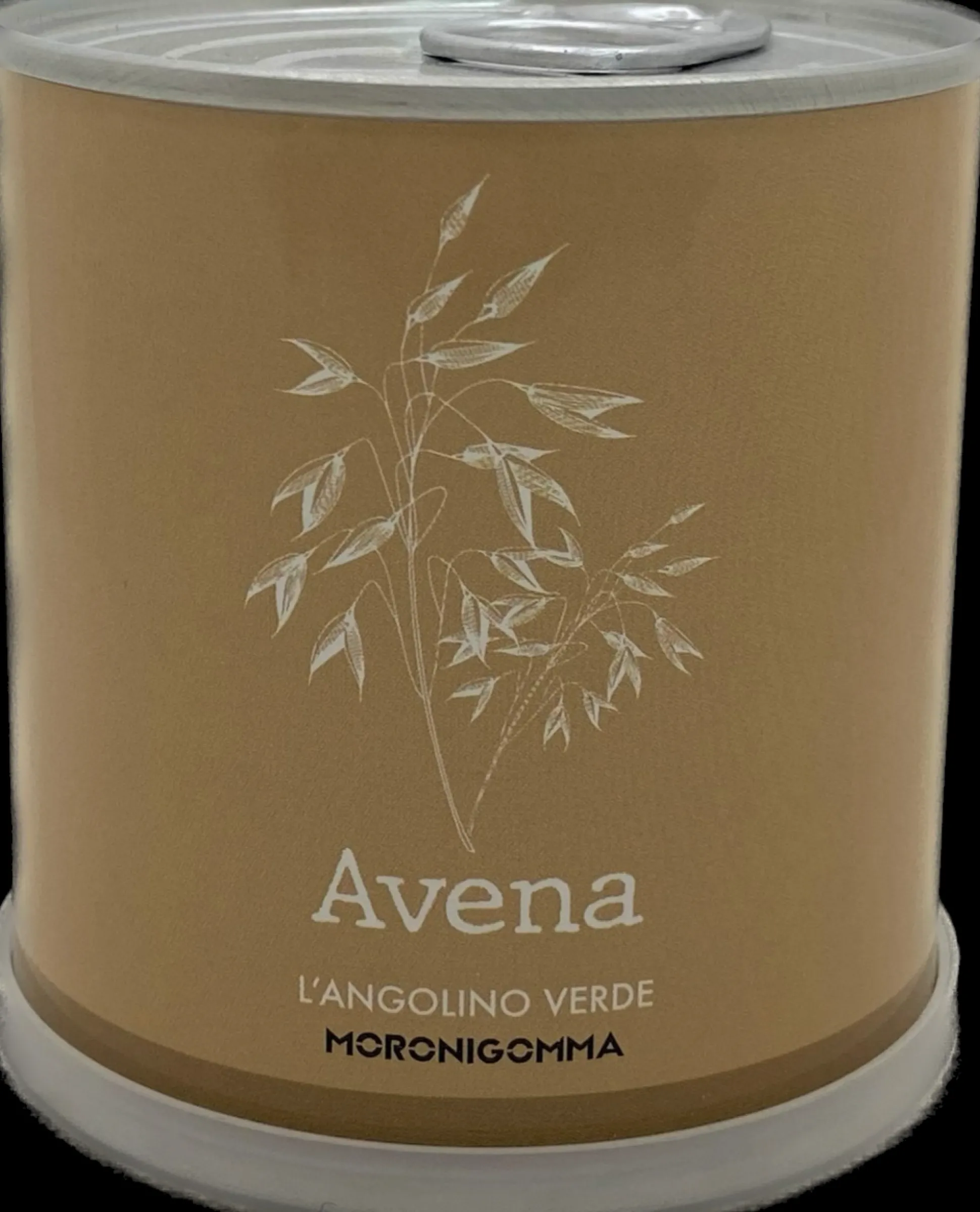 PIANTA IN BARATTOLO AVENA