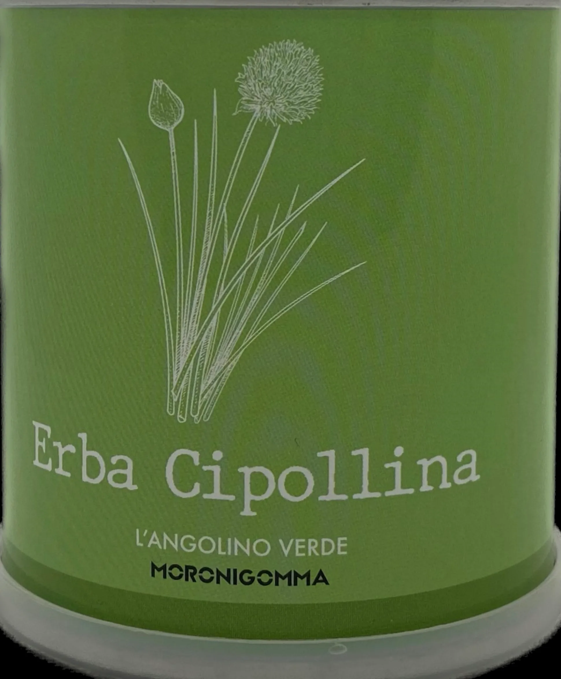 PIANTA IN BARATTOLO ERBA CIPOLLINA