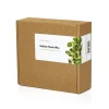 PIANTA ITALIAN HERB-PIZZA