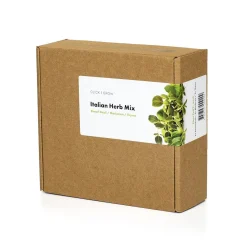 PIANTA ITALIAN HERB-PIZZA