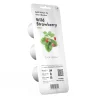 PIANTA WILD STRAWBERRY