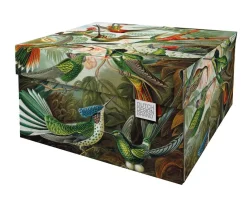 SCATOLA ART OF NATURE