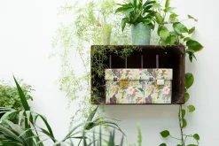 SCATOLA BOTANICAL