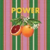 TOVAGLIETTA POWER